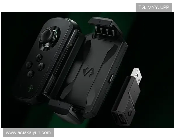 开云电子竞技app在线登录，体验极致游戏乐趣与激烈对战的完美结合