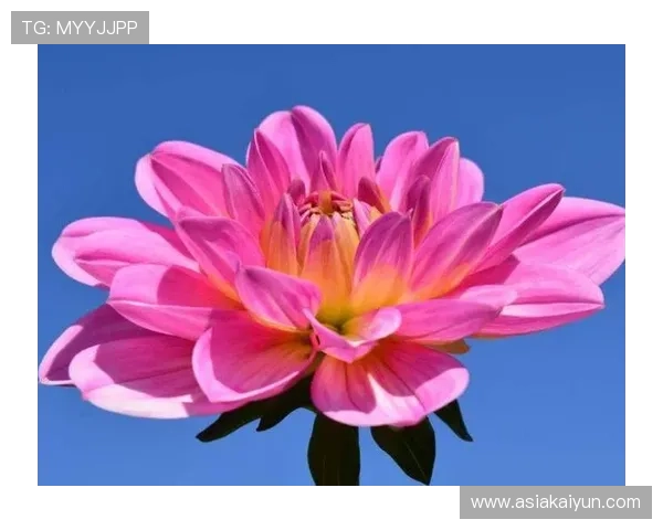 开运在线注册平台的优势，让你体验到好运加持的魅力